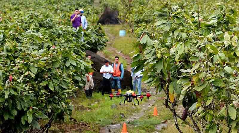 XAG Drone Supports Cacao Farm to Fight Diseases during Rainy Spells