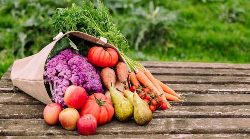 UN Report: Global hunger numbers rose to as many as 828 million in 2021