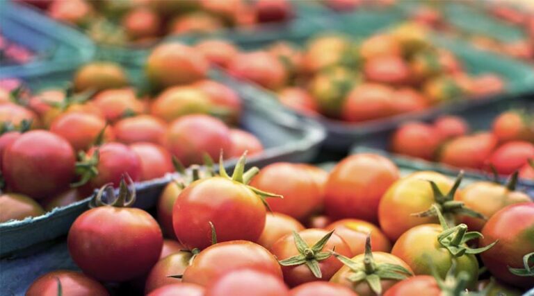 Processed food exports witness growth of 36.4% during the 1st quarter
