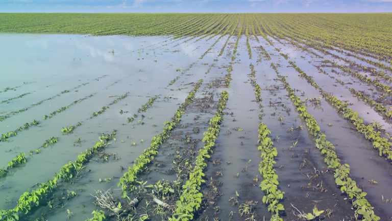 Boost for farming innovation