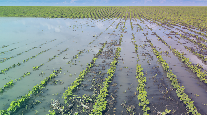 Boost for farming innovation
