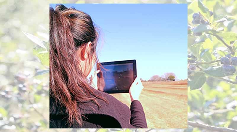 Growers adopt sustainable practices: farm survey