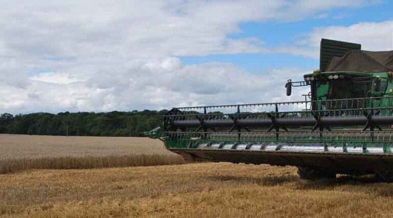 A good start for Syngenta hard group 4 wheats in Recommended List Trials