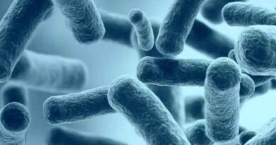 Brominated Biocides as Effective Antiviral Agents