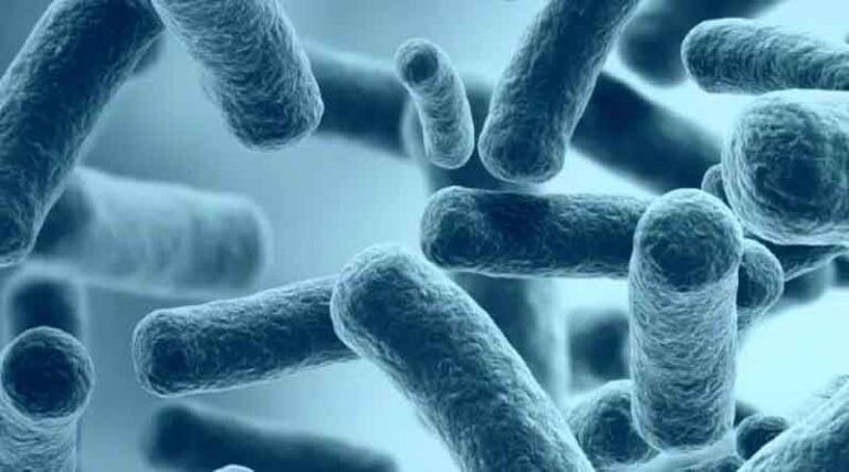 Brominated Biocides as Effective Antiviral Agents