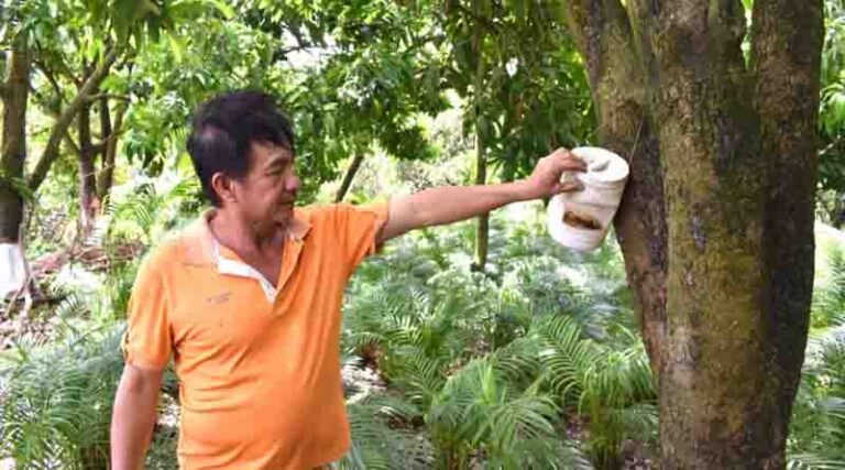Fruit industry and the two key factors