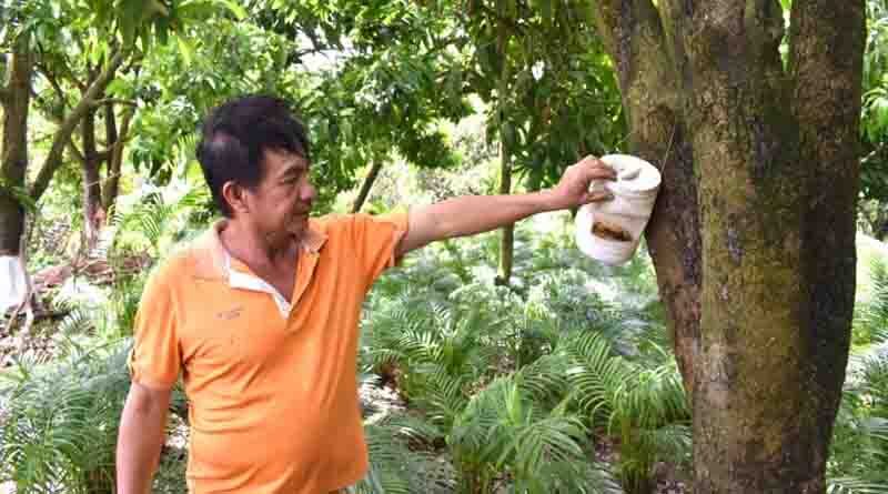 Fruit industry and the two key factors