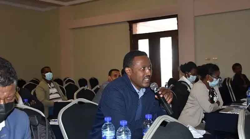 Can digital agricultural services boost Ethiopia’s durum wheat production?