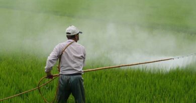 Agro Input Dealers Association requests companies to stop sale through online platforms