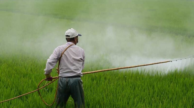 Agro Input Dealers Association requests companies to stop sale through online platforms