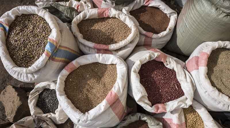Climate-smart sorghum varieties most valued among Tanzanian farmers: ICRISAT study