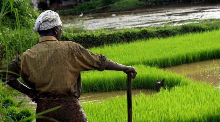 1.12 crore bottles of nano urea sold till August 2022