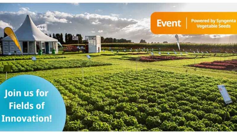 Fields of Innovation showcases veg crops, technology, and emerging opportunities