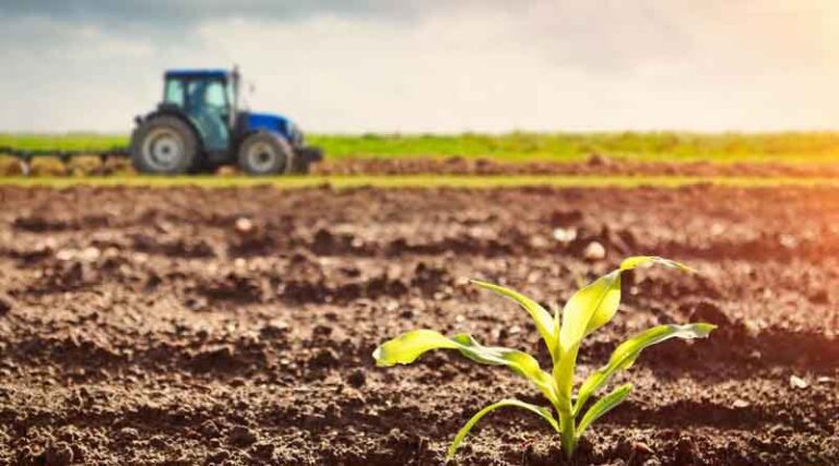 Yara Growth Ventures invests in Sabanto Ag - an emerging leader in autonomous agricultural equipment