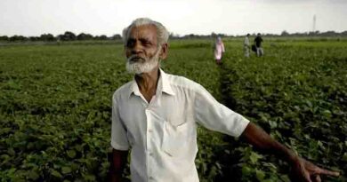The potential of conservation agriculture in increasing yield and tackling climate change