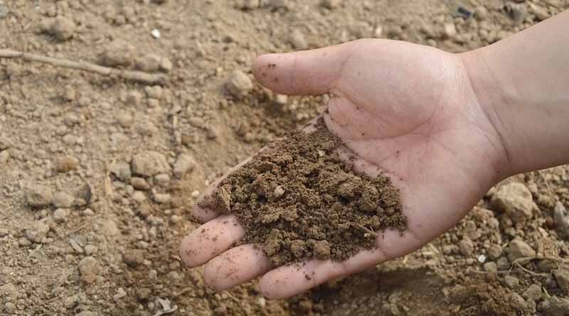 Indian farmers will now get single brand of fertilizers