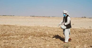 Afghanistan: Boosting local food production, generating incoming and reviving rural markets