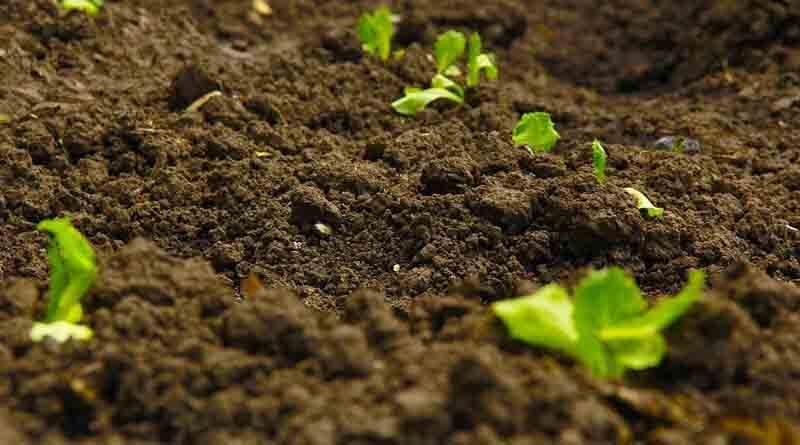 Soil health learnings from across the world