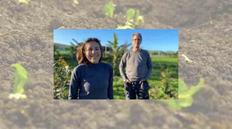 Subtropical fruit forest set up for success in Nūhaka