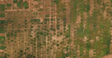 Towards creating more ‘smart’ villages