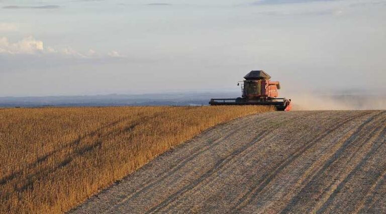 Brazil bans Fungicide Carbendazim
