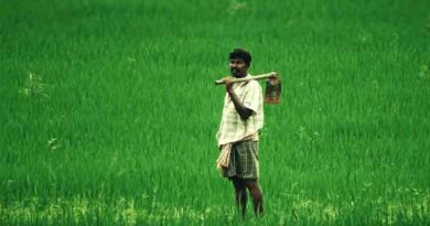 Fourth advance estimates for 2021-22 of major agriculture crops released