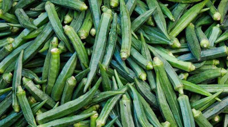 High yielding and export quality ladyfinger variety Radhika