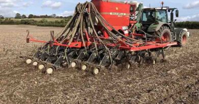 Drilling delay reduces grass weed pressure