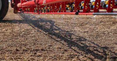 Load up for long life with autumn pre-em residuals