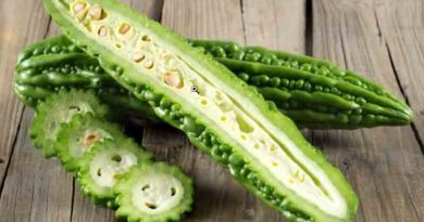 Bitter Gourd Varieties Suitable for growing in Kharif in Uttarakhand (Plains & Hills)