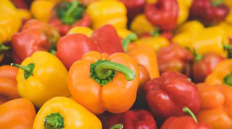 Capsicum Varieties Suitable for growing in Kharif in Uttarakhand (Hill)