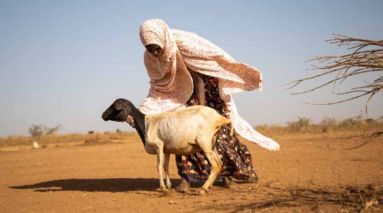 Food crisis tightens its grip on 19 ‘hunger hotspots’ as famine looms in the Horn of Africa – new report