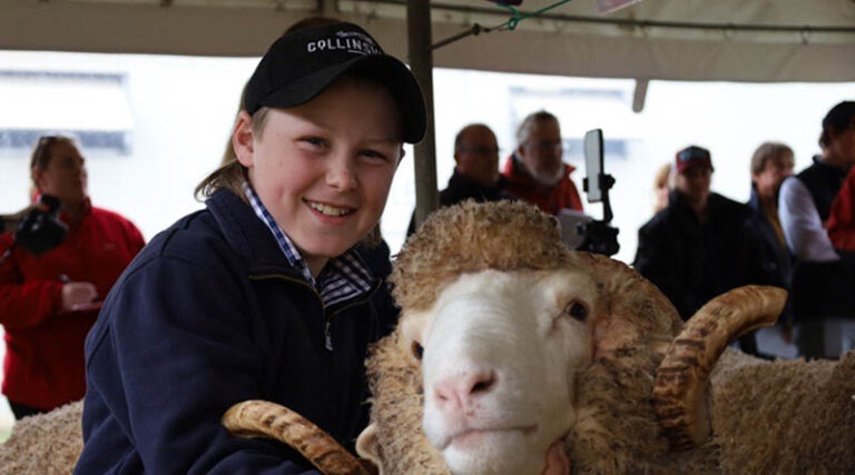Elders facilitates biggest ram sale in Australia