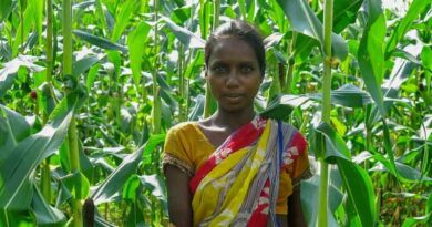 Can we accelerate gender equality?