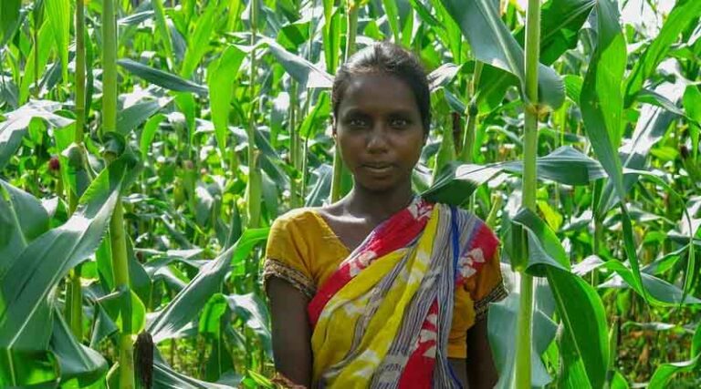 Can we accelerate gender equality?
