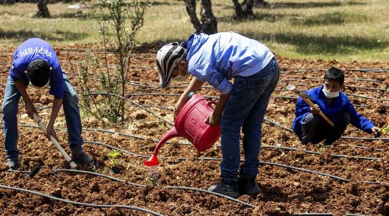 From data to drops: Optimizing water use is key for agrifood systems