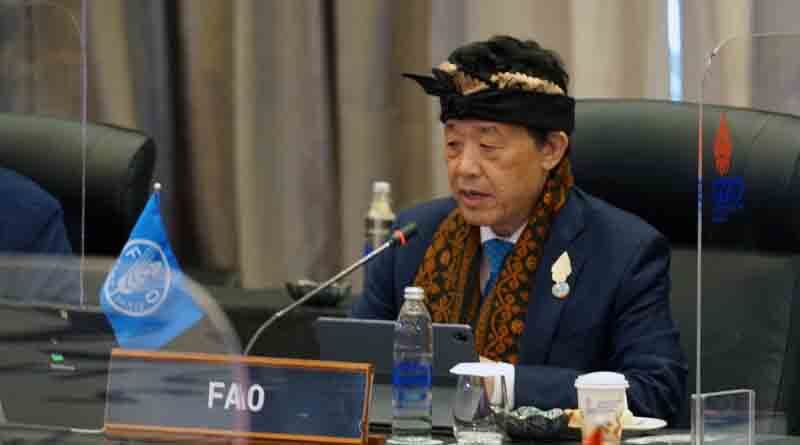 G20 Agriculture Ministers meeting: Stop a food access crisis from turning into a food availability crisis, FAO says