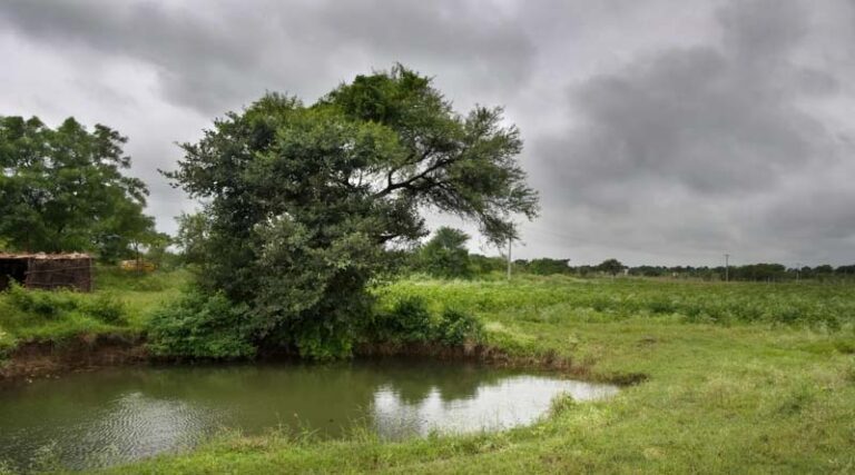 Bringing it to the table: Regenerative Agriculture’s generative challenge