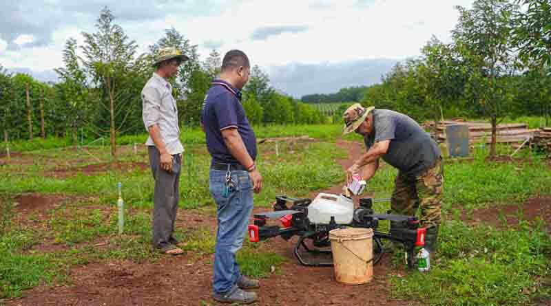An XAG Drone Rescue to the World-Famous Cambodian Pepper