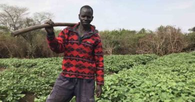 Africa Must Fast-track Adoption of Proven and Sustainable Solutions to Survive Food Crisis