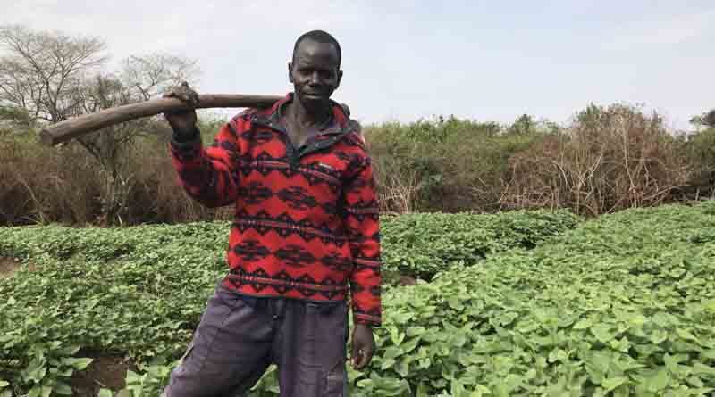 Africa Must Fast-track Adoption of Proven and Sustainable Solutions to Survive Food Crisis