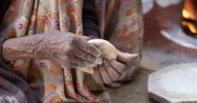 Fragile global food system calls for a collaborative approach: Experts