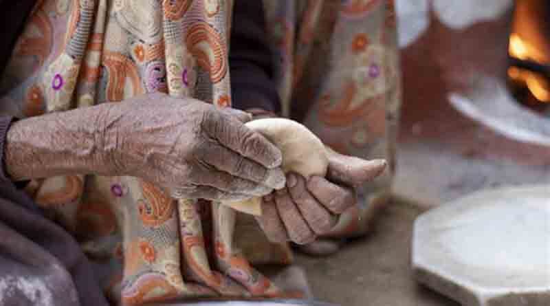 Fragile global food system calls for a collaborative approach: Experts