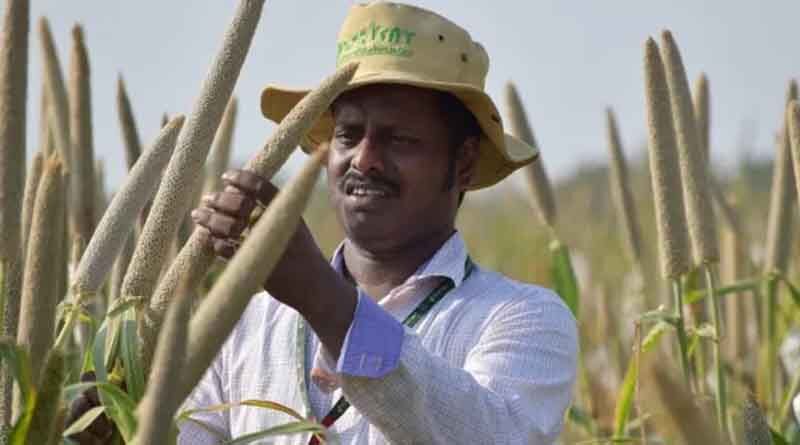 ICRISAT alumnus wins Borlaug Field Award for work on biofortified pearl millet