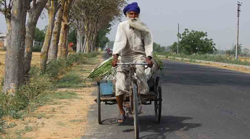 Kharif season coverage in India yet to cross last year mark; 10.45 crore hectares sown