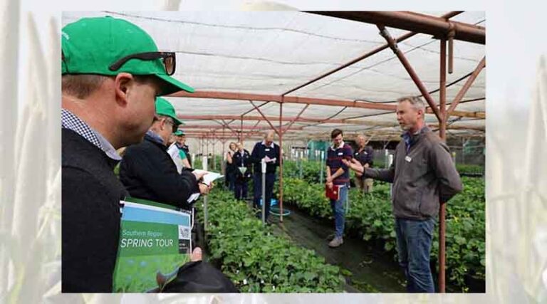 Grower input to guide GRDC investments previous article