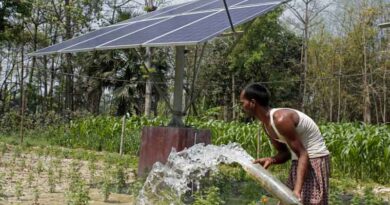 Galvanizing Food Systems Transformation in South Asia
