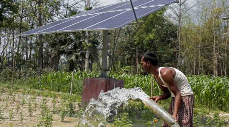 Galvanizing Food Systems Transformation in South Asia