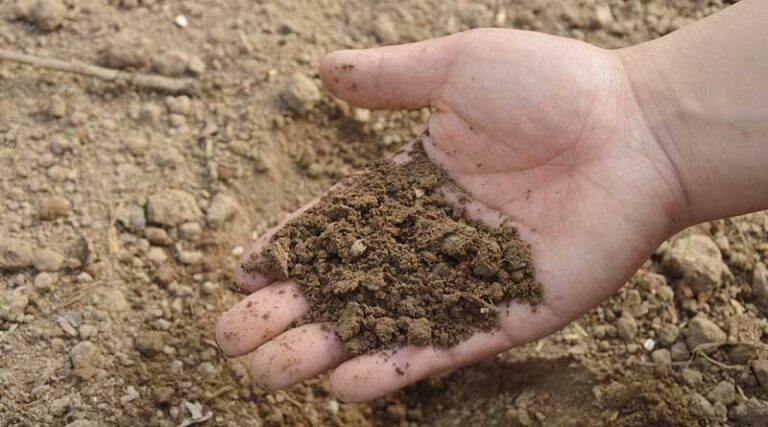 PM Pranam Scheme: Aimed to reduce use of chemical fertilizer in India