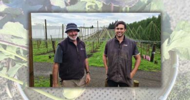 Little red gem sizing up on New Zealand orchards